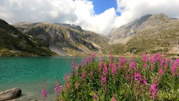 Summer Landscape Alpine Lake Italian Dolomites — Wideo stockowe