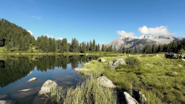 Summer Landscape Julian Lakes — Stockvideo