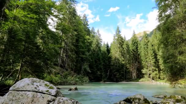 Przegląd Strumienia Alpejskiego — Wideo stockowe