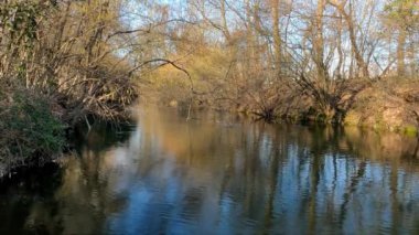 Spring Landscape in a Stream in the Italian Countryside - 5K