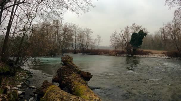 Εαρινό Τοπίο Ένα Ποτάμι Στην Ιταλική Ύπαιθρο — Αρχείο Βίντεο