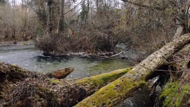 Aerial Drone Winter Landscape Creek — Vídeo de Stock