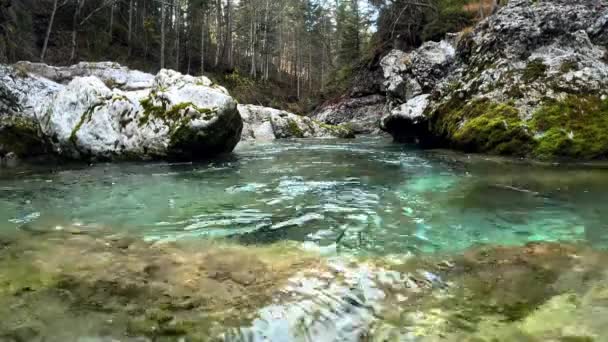 Paisagem Alpina Com Fluxo Água Turquesa — Vídeo de Stock