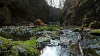 Aspen Colorado 'da bir derenin manzarası - 5K