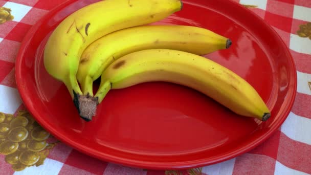 スティルライフ 赤いプレート上のバナナ — ストック動画