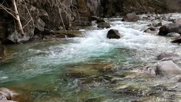 Rio Dolomite Com Água Turquesa — Vídeo de Stock