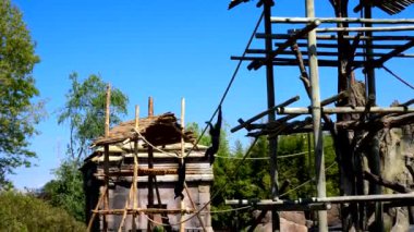  Şempanzelerle Bahar Manzarası