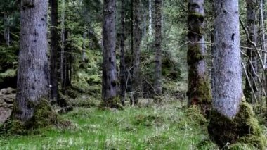 Dolomitler UNESCO Dünya Mirası - İtalya