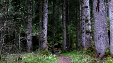 Manzaranın Büyüsünü Dolomitler