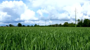  Buğday Tarlalarında Bir Yolculuk, Baharın Güzelliği