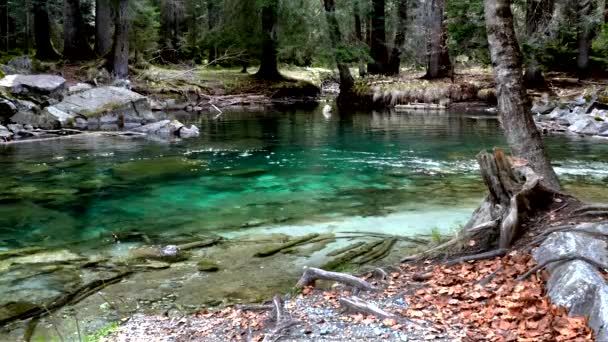 このアルパイン湖のターコイズブルーの水があなたを息つかせます — ストック動画
