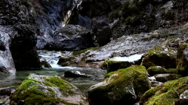 Alpejska Rzeka Między Przyrodą Przygodą — Wideo stockowe
