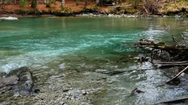 Національний Парк Гран Парадісо Його Річка Любовна Історія Між Природою — стокове відео
