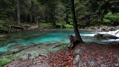 Rüya Alp Gölü, Alpler 'in turkuaz sularında bir yolculuk.