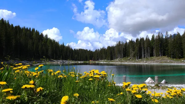 Een Alpenparadijs Gele Bloemen Een Turquoise Meer — Stockfoto