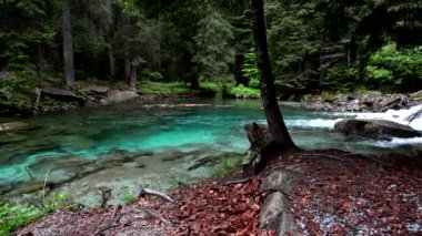 Rüya Alp Gölü, Alpler 'in turkuaz sularında bir yolculuk.