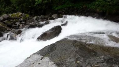 Dolomiti Bellunesi Ulusal Parkı ve dereleri