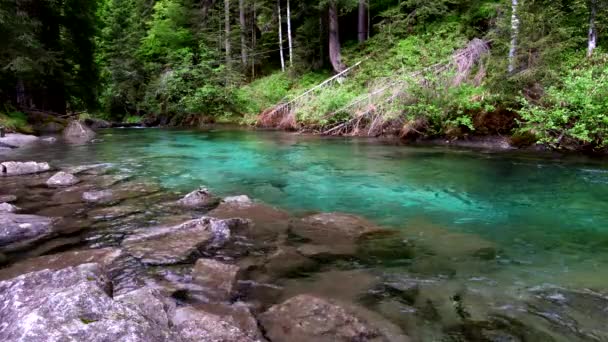 Paraíso Escondido Nas Montanhas Vamos Descobrir Riacho Alpino Com Águas — Vídeo de Stock