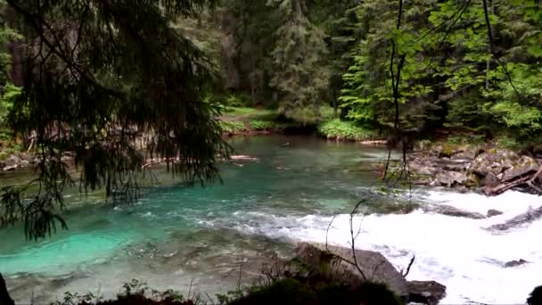 Рай Скрытый Горах Альпийский Поток Который Оставит Запыхаться — стоковое видео