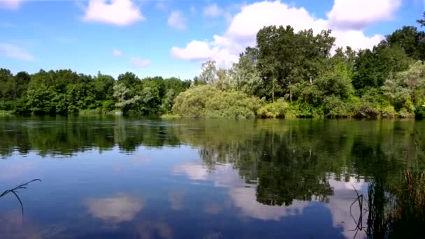 春天的河流 和平与和谐的体验 — 图库视频影像