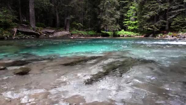 Skrytý Ráj Horách Cesta Objevení Alpského Potoka Tyrkysovými Vodami — Stock video