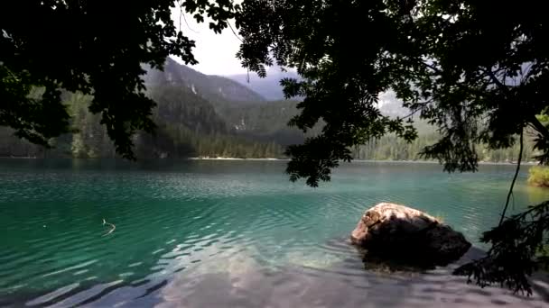 Ανακαλύψτε Λίμνη Tovel Ένα Φυσικό Θησαυρό Των Δολομιτών — Αρχείο Βίντεο