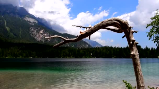 Озеро Товель Природный Рай Доломитовых Альпах — стоковое видео