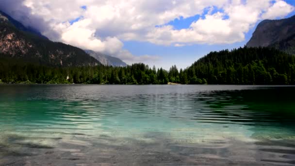 Lago Tovel Ένας Αλπικός Παράδεισος Στους Δολομίτες Της Brenta — Αρχείο Βίντεο