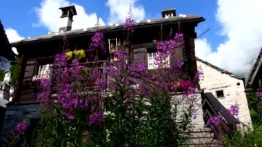 Alp evi ve çiçek bahçesi.