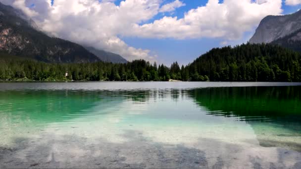 Jezioro Tovel Klejnot Parku Naturalnego Adamello Brenta — Wideo stockowe