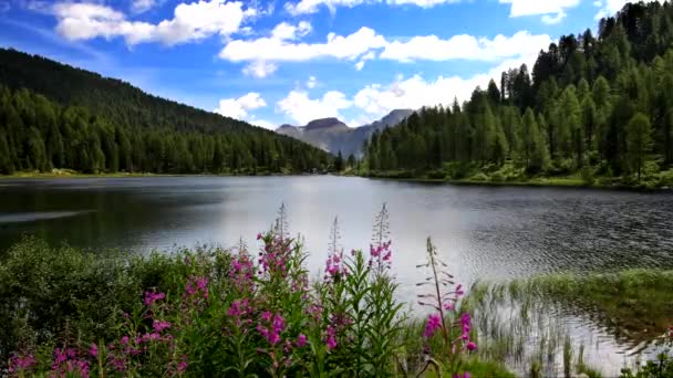 Озеро Малгетт Небольшой Приют Спрятанный Природном Парке Фелло Брента — стоковое видео