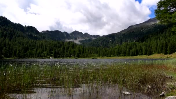 Lago Malghette Lugar Encantado Para Relaxar Admirar Montanhas — Vídeo de Stock