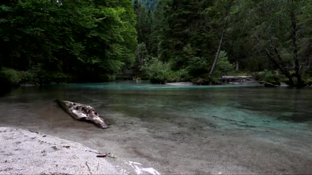 Zaczarowane Jezioro Dolomitach Odkryj Urok Turkusowej Wody — Wideo stockowe