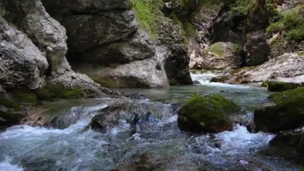 Paisaje Alpino Con Arroyo Cañón — Vídeo de stock