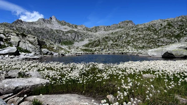 Paysage Spectaculaire Sur Lac Gelato — Photo