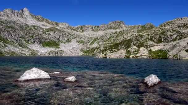 Gelato Lake Glacial Jewel Heart Alps — Stock Video