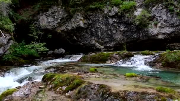 Alpenlandschap Een Fantastische Kreek Met Turquoise Water — Stockvideo