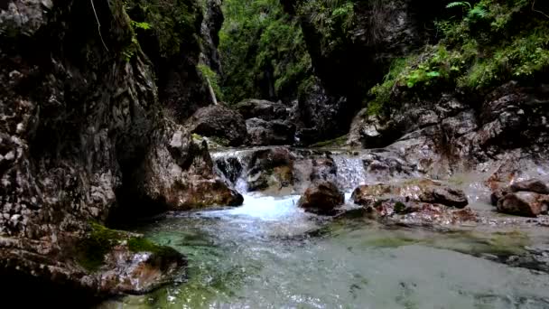 Αλπικό Ρεύμα Κρυστάλλινα Νερά Ένας Φυσικός Παράδεισος — Αρχείο Βίντεο