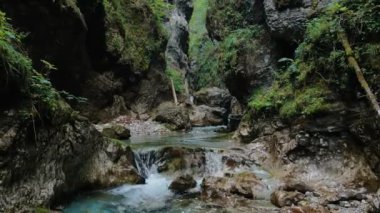 Hava Aracı - Alp Akıntısı Üzerinde Yaz Manzarası