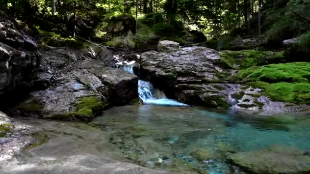 Summer Landscape Italian Dolomites — Stock Video