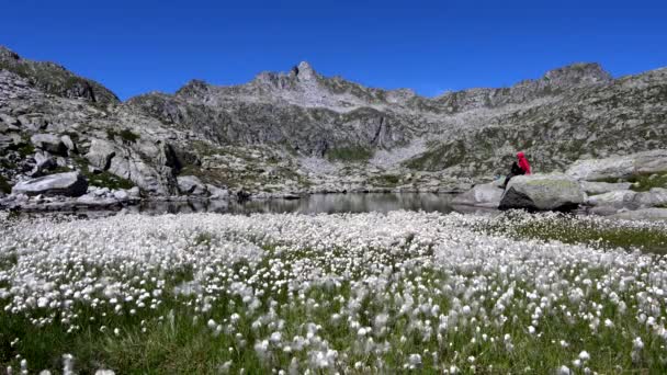 Άνδρας Χαλαρώνοντας Στην Παγετώδη Λίμνη Serodoli — Αρχείο Βίντεο