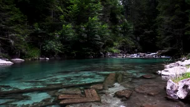 ターコイズ水と自然の楽園であるアモラ — ストック動画