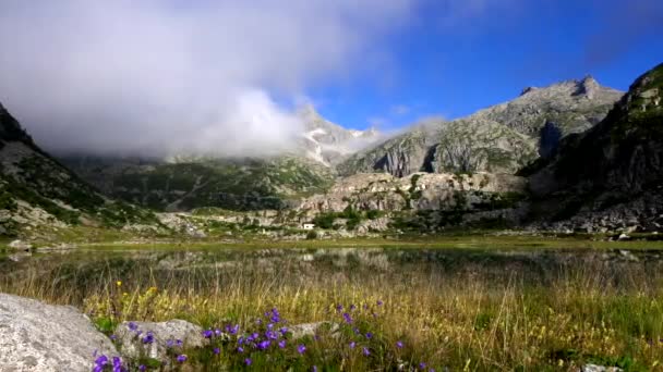 Paysage Estival Sur Les Lacs Dolomites Cornisello — Video