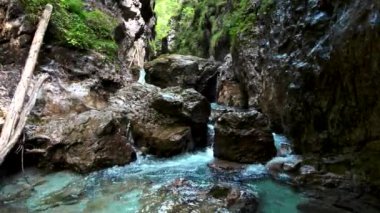 Alp deresinin üzerindeki yaz manzarası