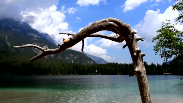 Summer Landscape Lake Tovel — Stock Video