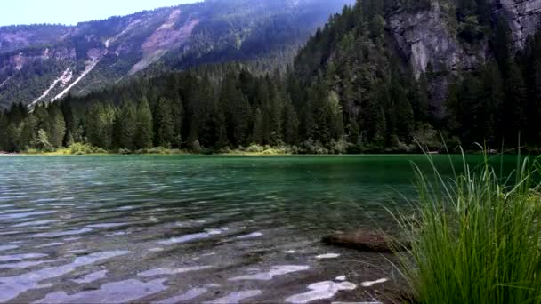Λίμνη Tovel Ένα Παραμυθένιο Μέρος Στο Φυσικό Πάρκο Adamello Brenta — Αρχείο Βίντεο
