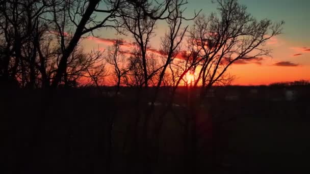 Drohne Aus Der Luft Spektakulärer Roter Sonnenuntergang Einem Nordeuropäischen Wald — Stockvideo