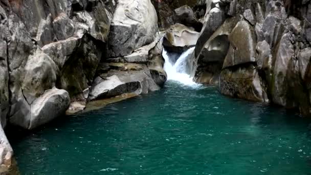 Acqua Color Smeraldo Natura Selvaggia Torrente Alpino Che Lascerà Senza — Video Stock