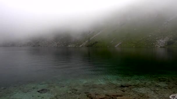 リトルト氷河湖の霧で秋の風景 — ストック動画