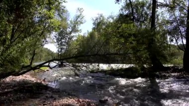  Bir derede yaz manzarası